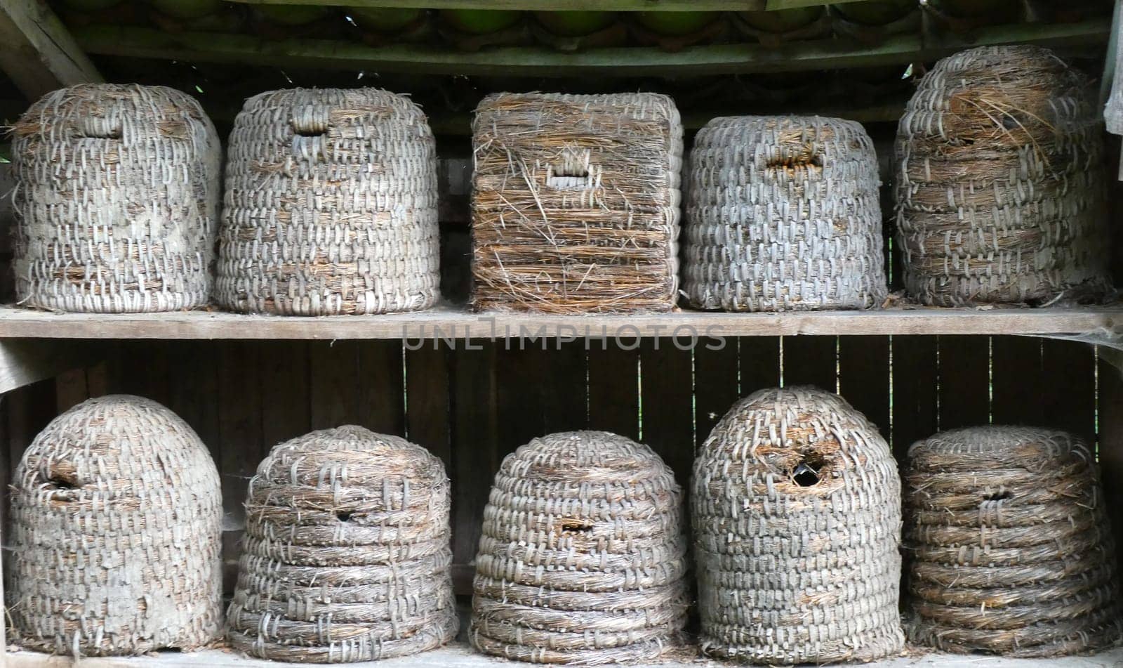 beehives