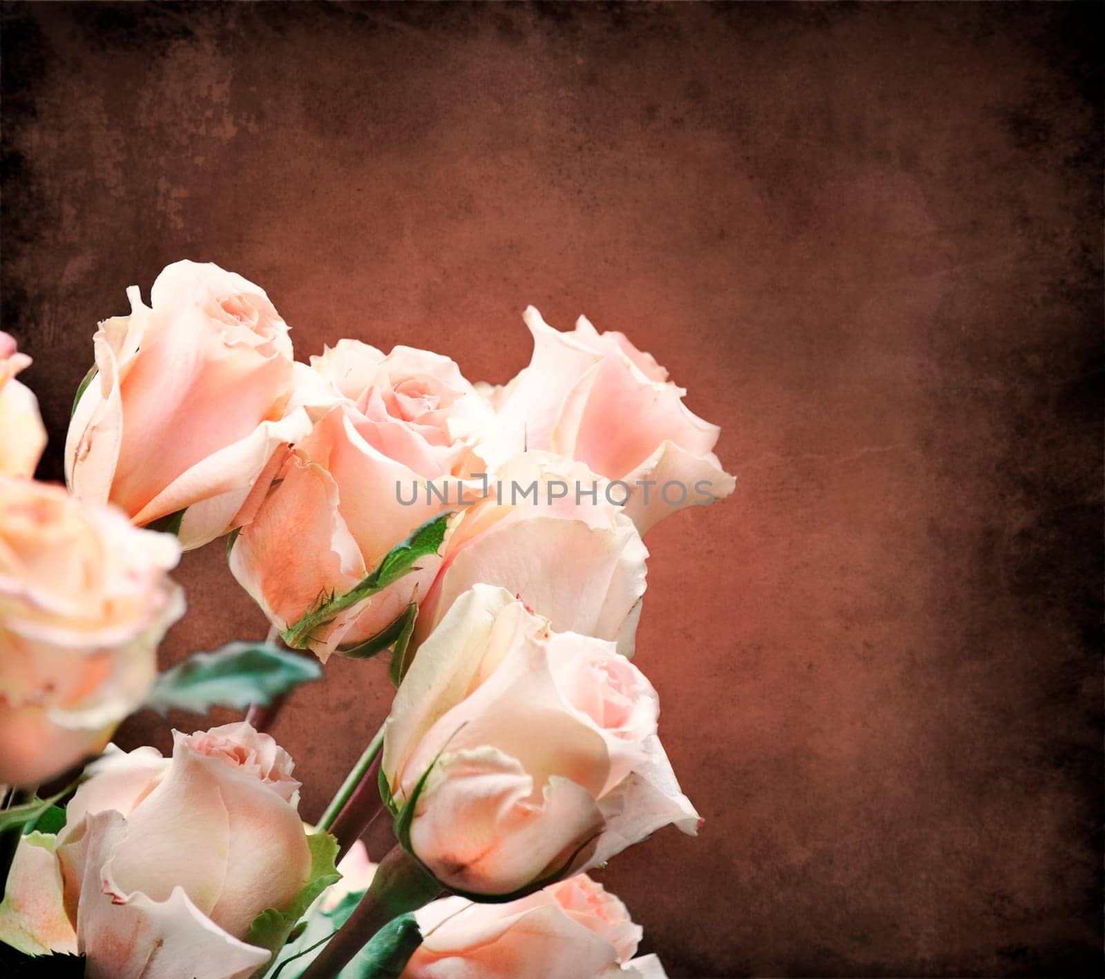 Bouquet of beautiful pink roses