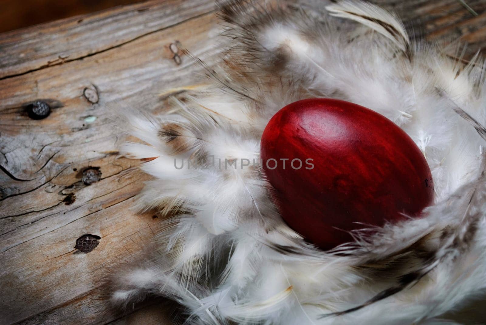 .Red Easter egg in feather nest