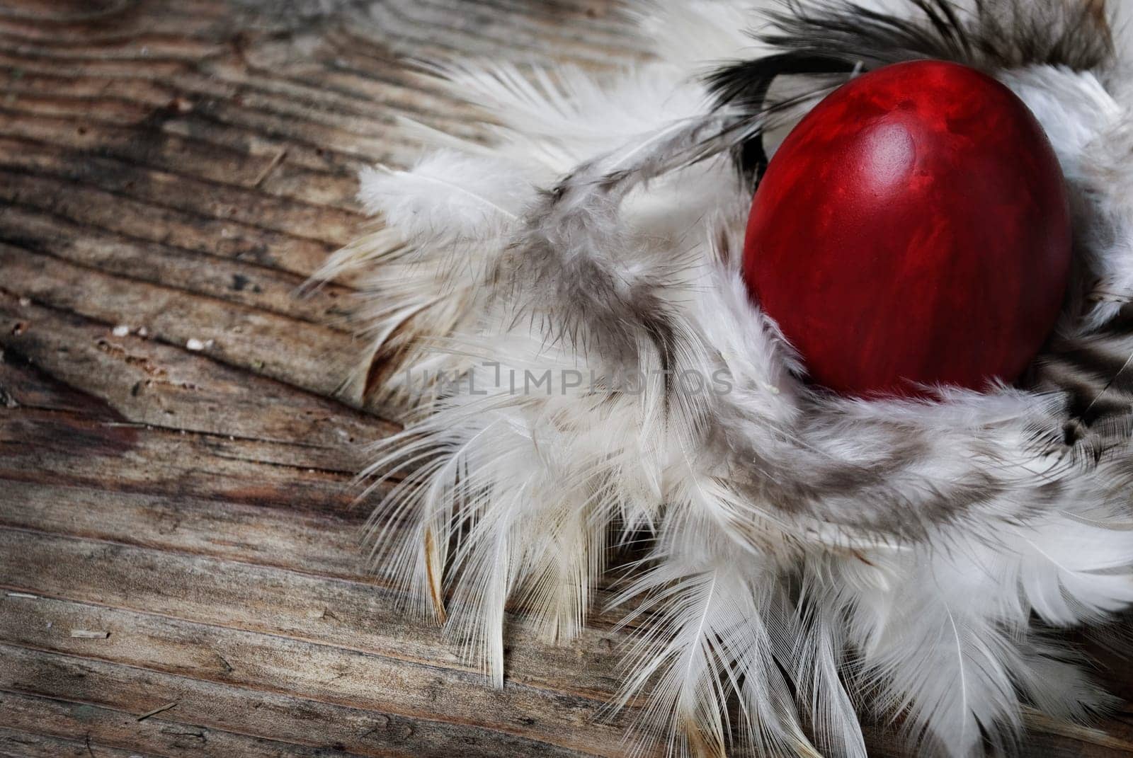 Red Easter egg in feather nest