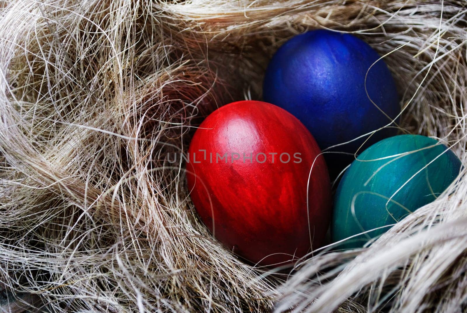 Easter Eggs in bird nest