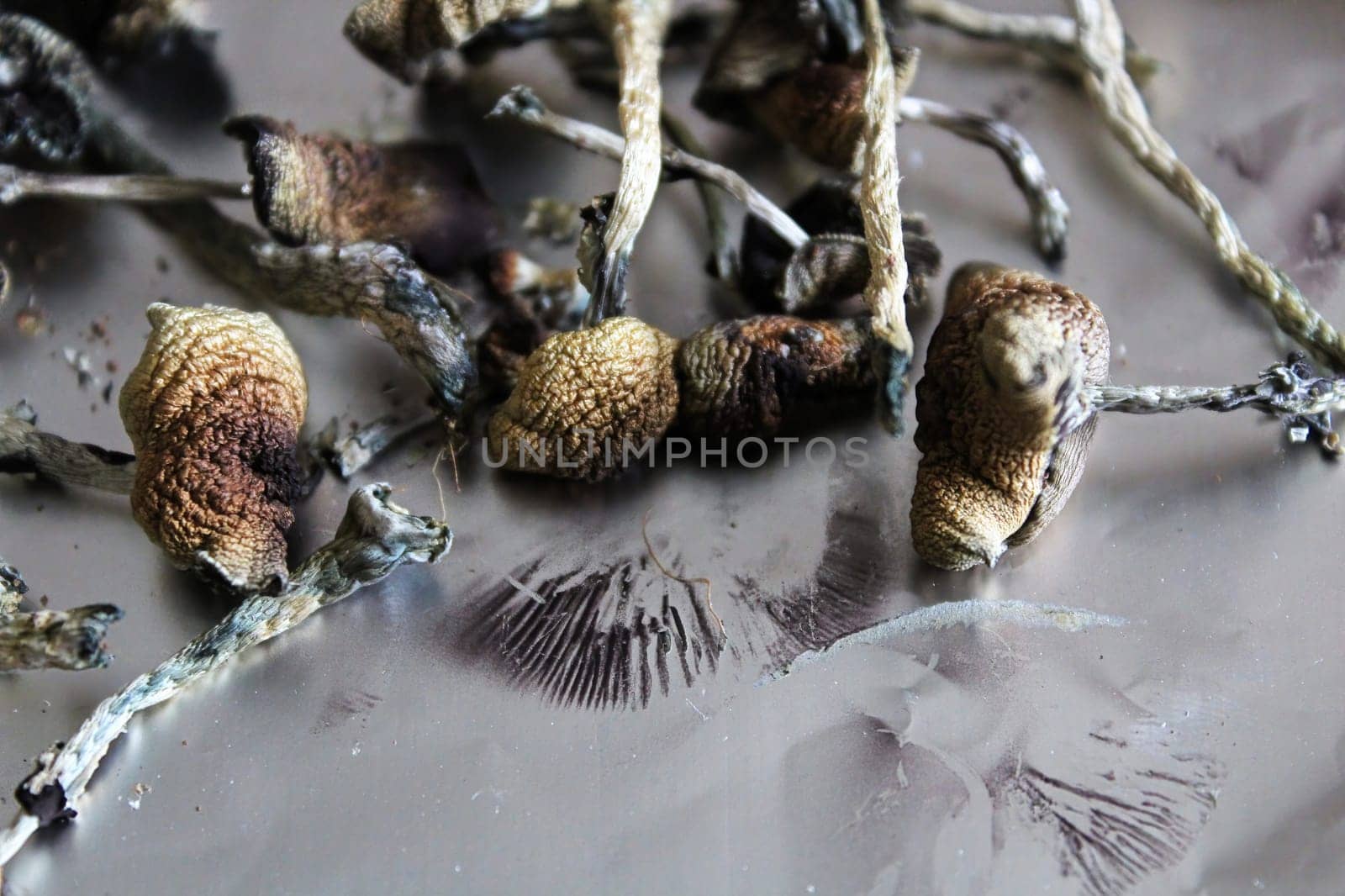 Dried magic with spore prints on tin foil.