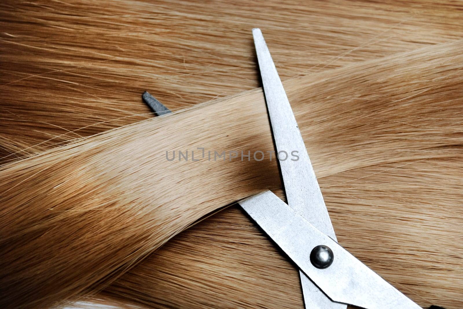 Long healthy blond hair and professional scissors