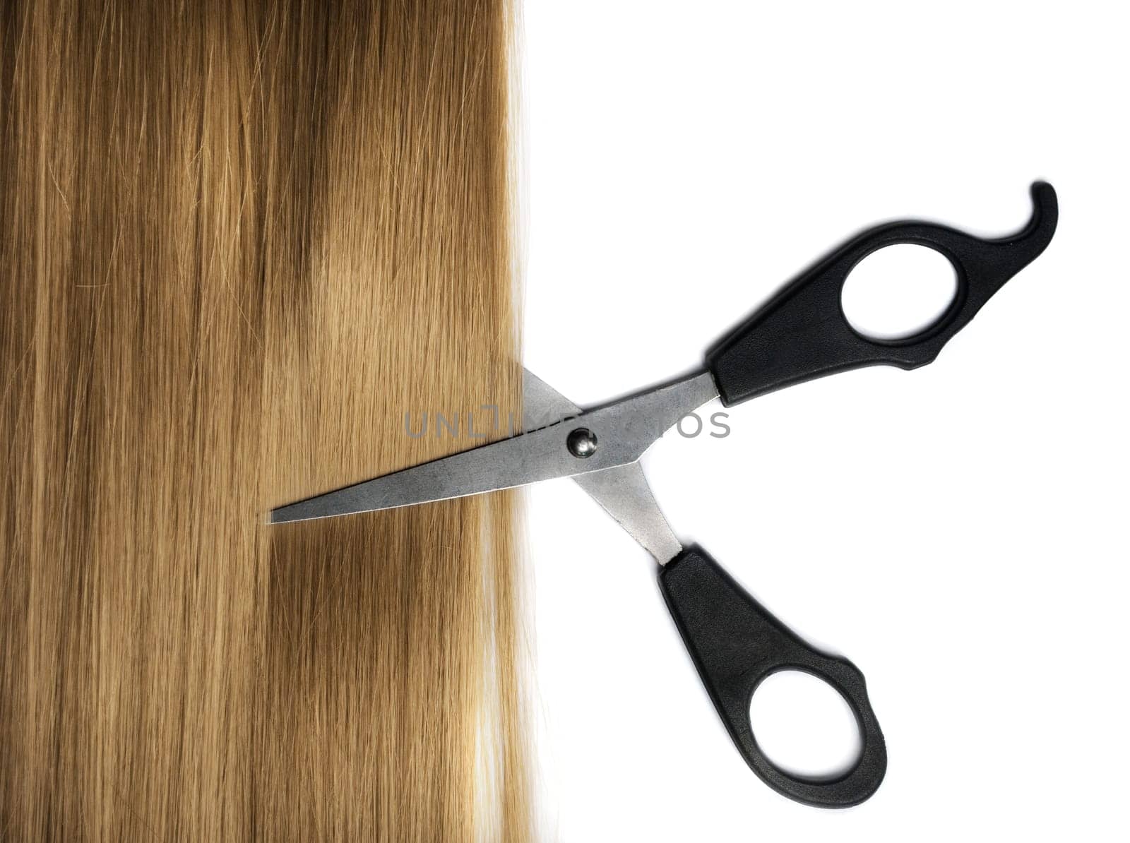 Long healthy blond hair and professional scissors over white