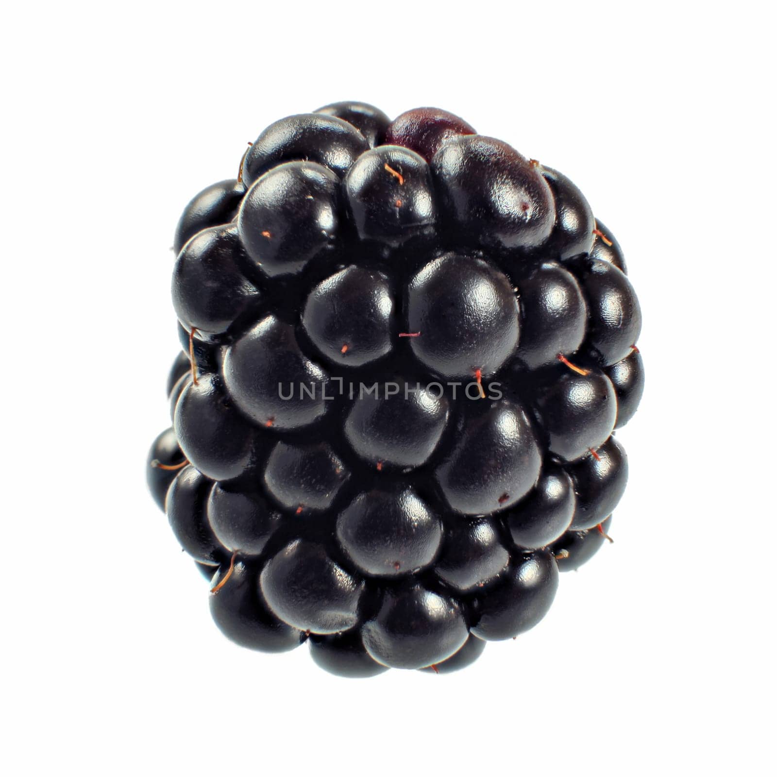 Blackberry isolated on white background.