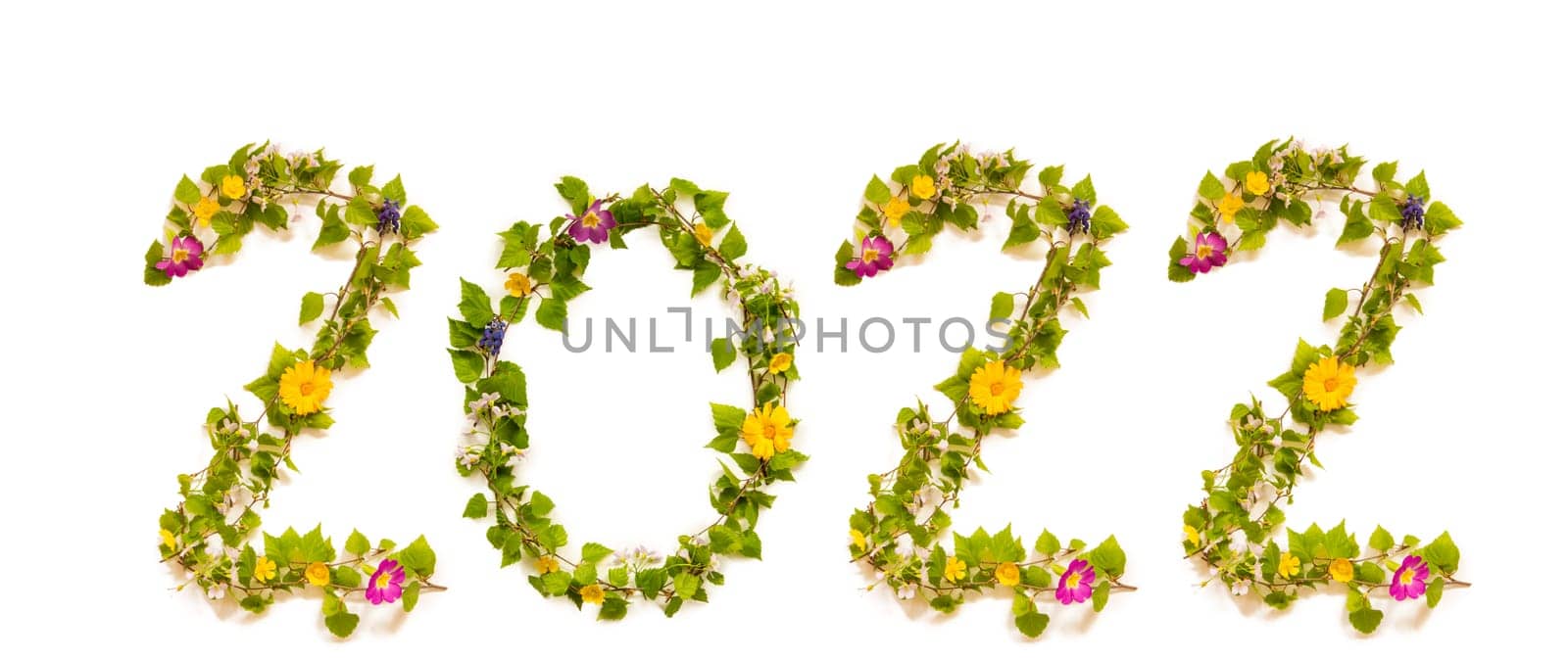 Flower, Branches And Blossom Letter Building Word 2022. White Isolated Background