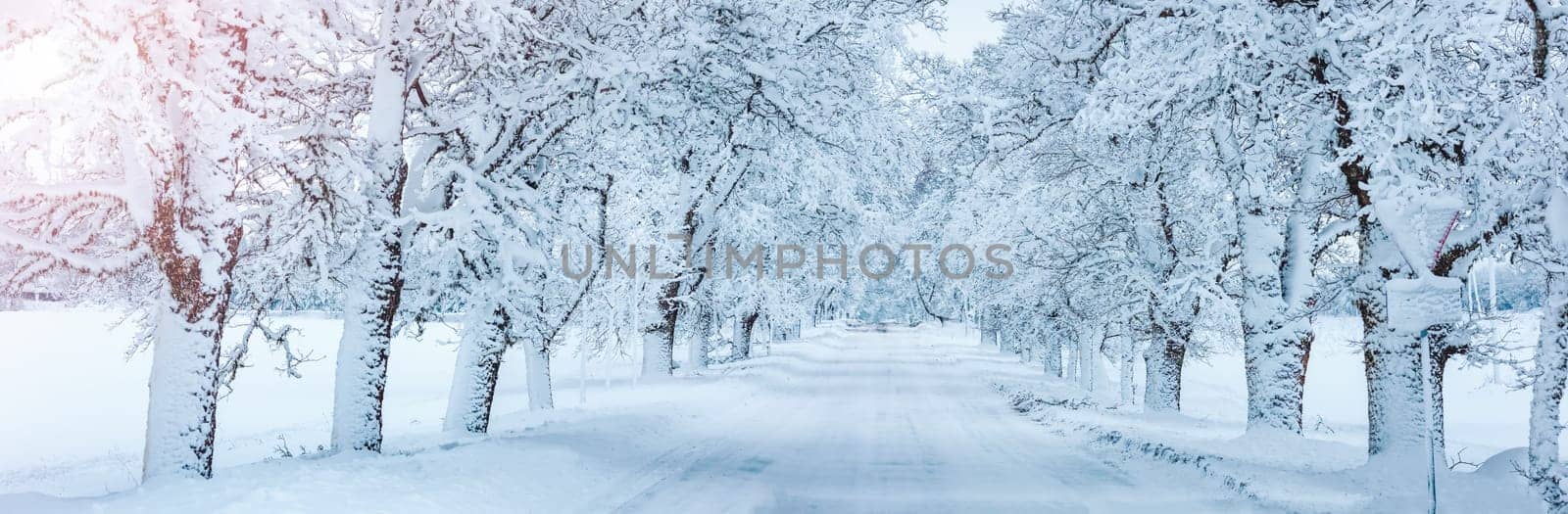 Road covered by snow in snowy morning. Panoramic view of the beautiful way in snowy natural park.