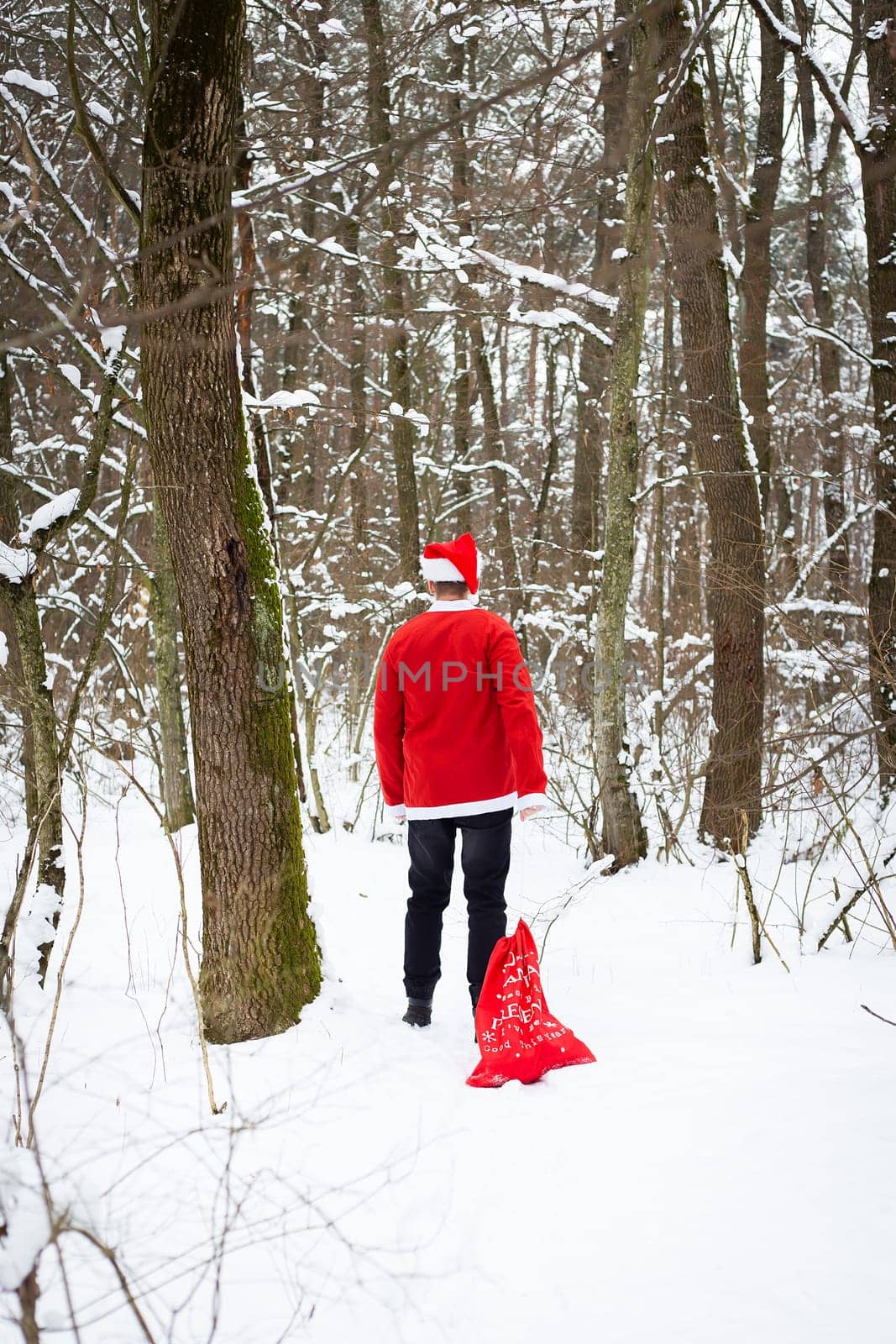 A traditional Santa Claus in a hat and a bag of gifts walks through the forest carrying gifts. Back view
