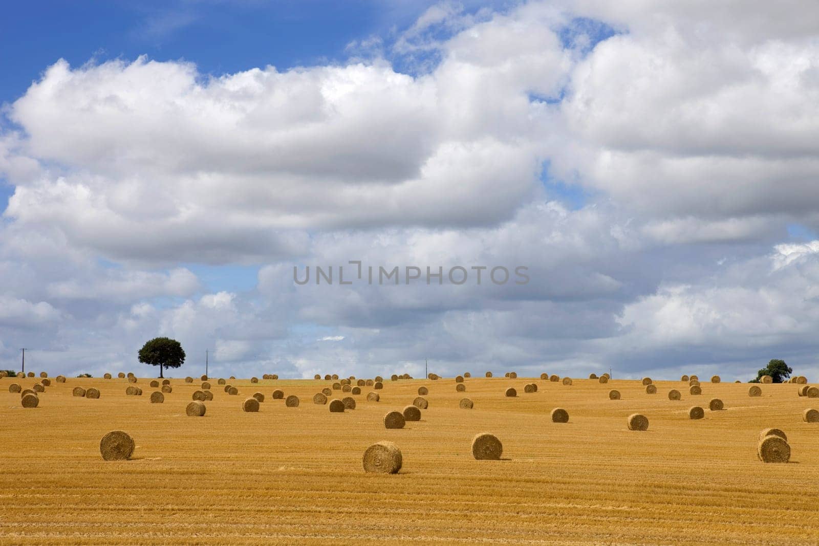 Briquettes of dry hay in a field in the north of France
