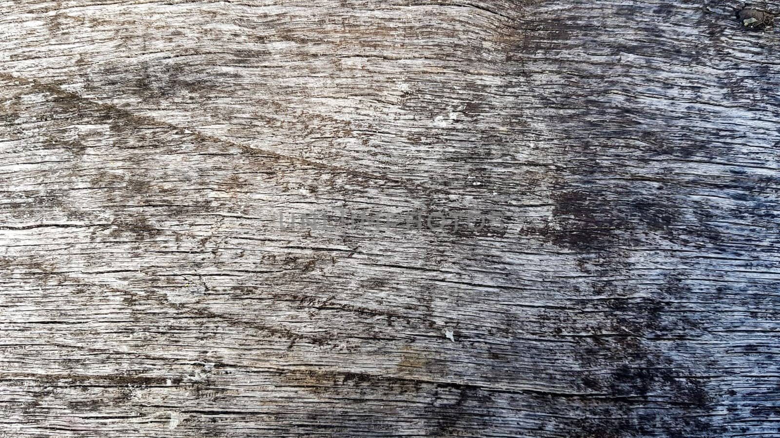 Old gray wooden texture close up. Flat lay, copy space, empty gray background for design