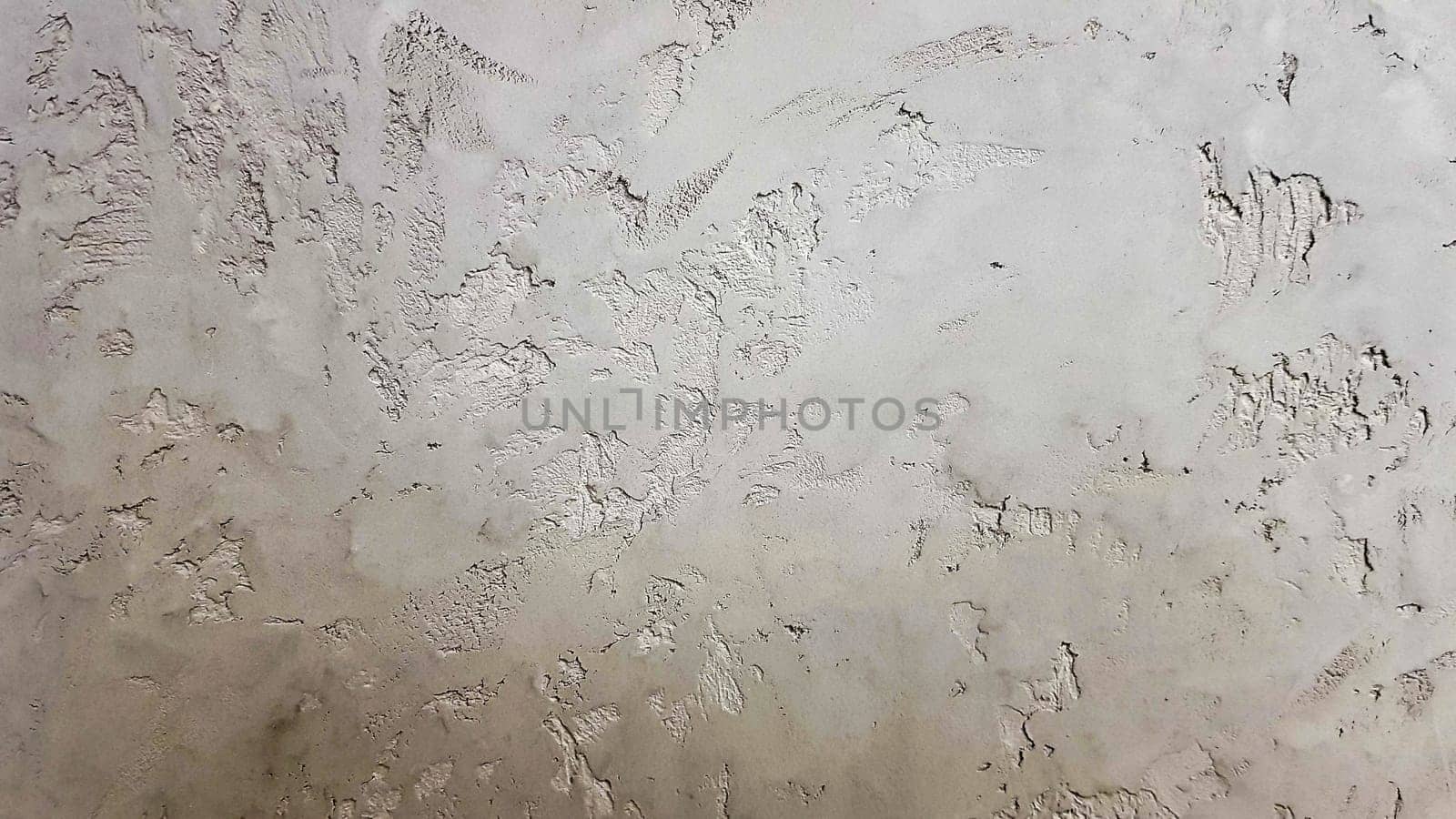 Gray abstract background. Beautiful gray textured stucco on the wall. Background from gray stucco