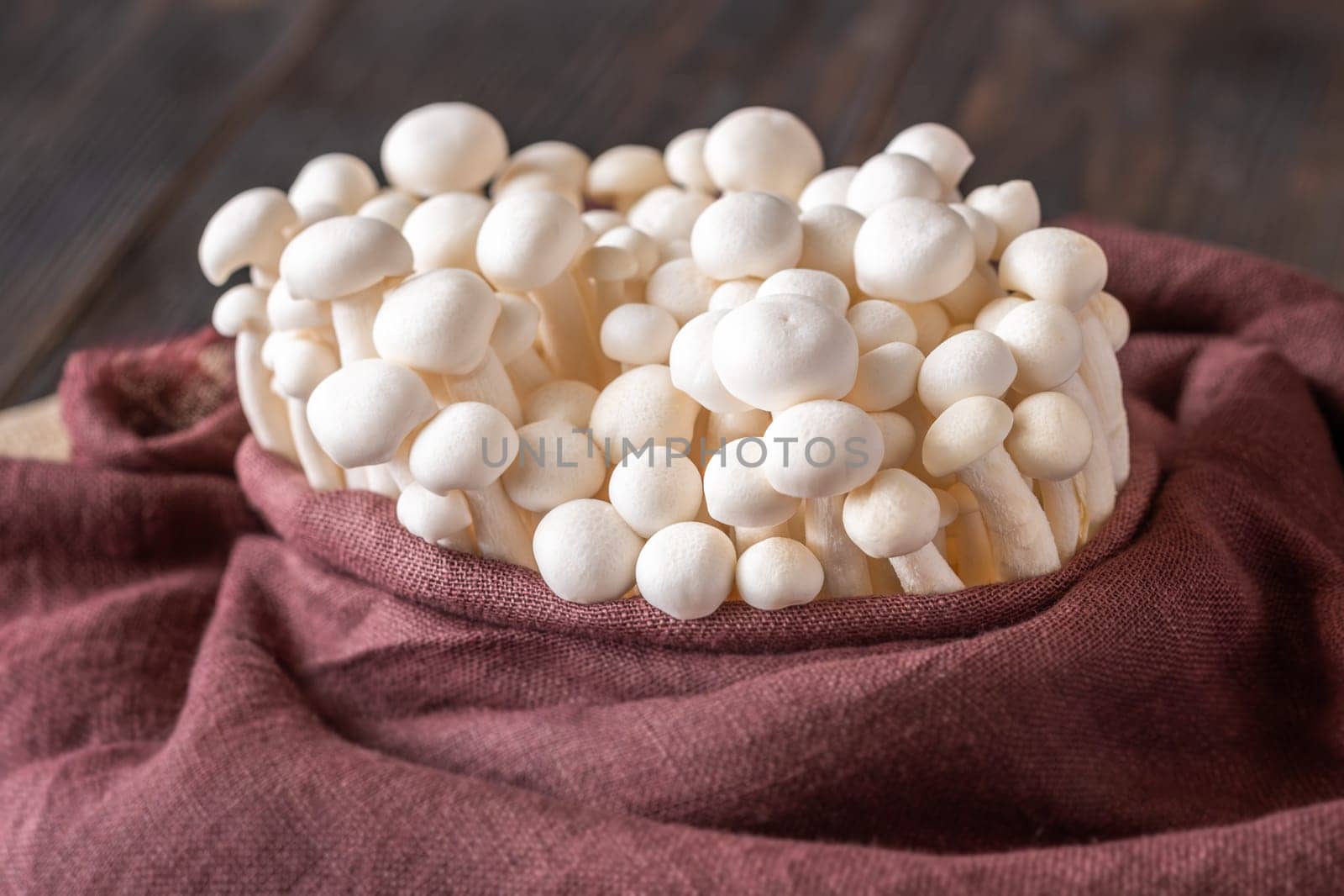 A delicate cluster of bunapi-shimeji mushrooms resting in textile