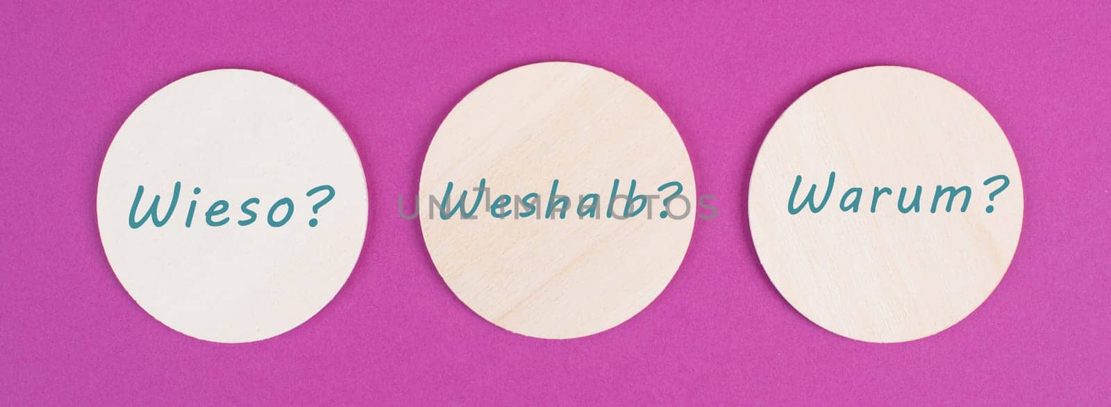 The german words for why are standing on circels, pink colored background, asking questions