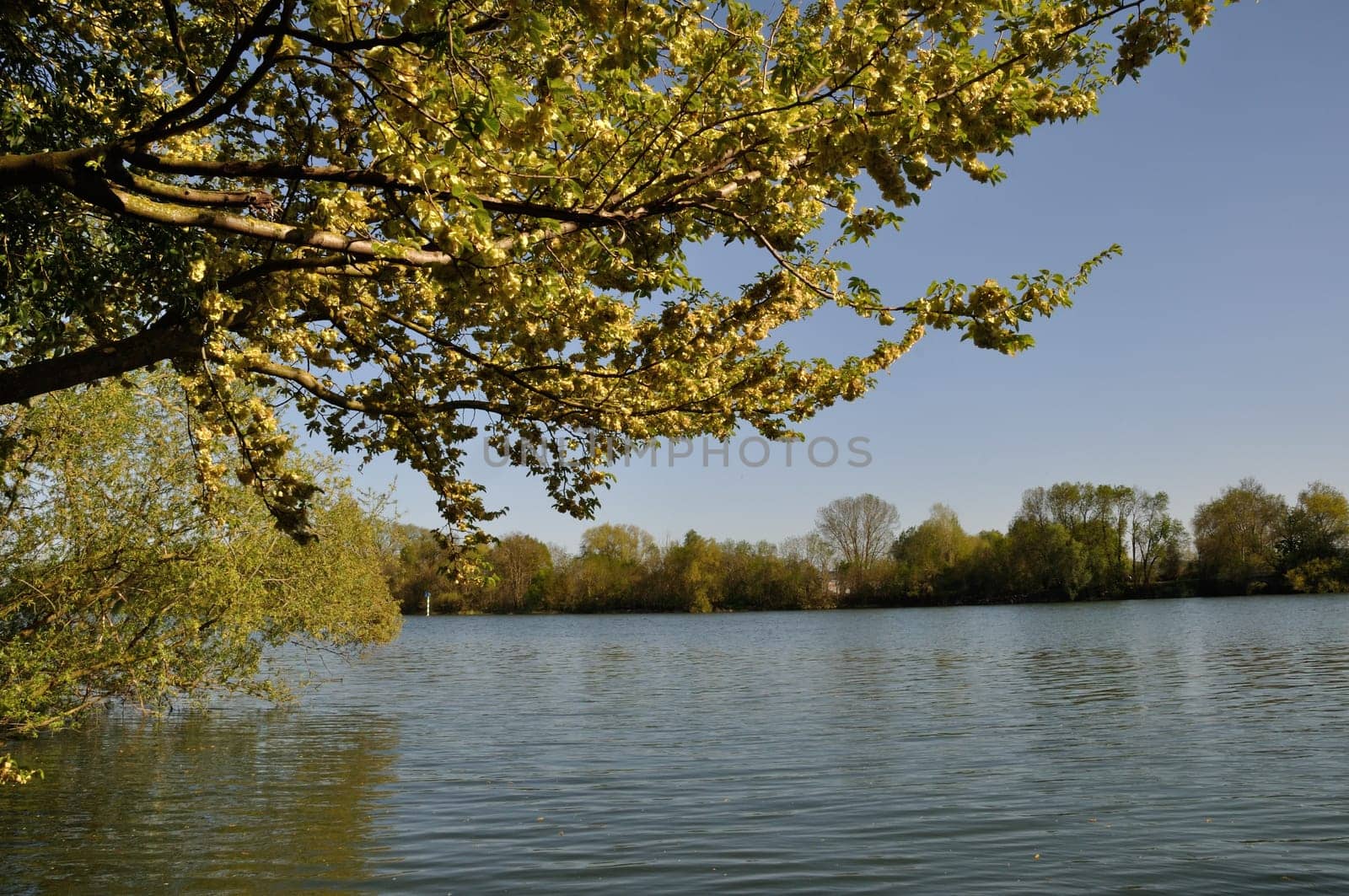 Banks of the Seine at Elbeuf in Normandy