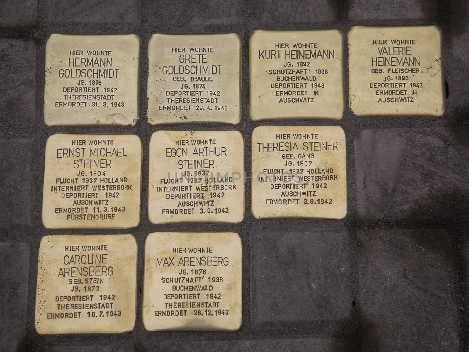 Gunter Demnig verlegte Stolpersteine mit Blumen am 11.11.2021 Magdeburg