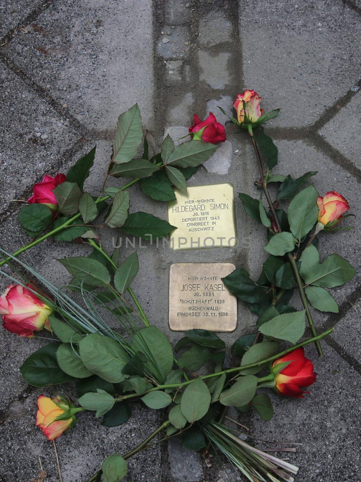 Gunter Demnig verlegte Stolpersteine mit Blumen am 11.11.2021 Magdeburg