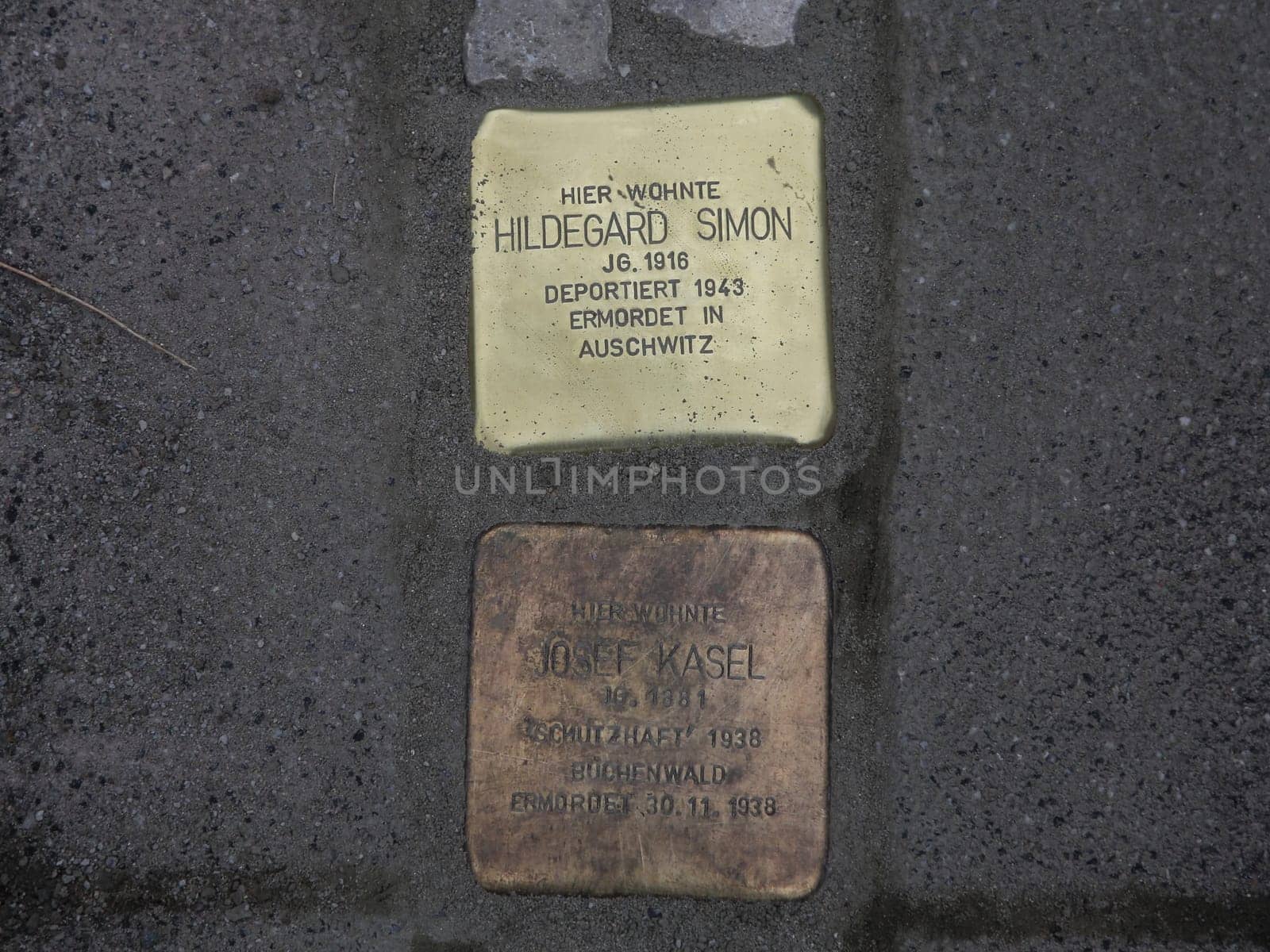 Gunter Demnig verlegte Stolpersteine mit Blumen am 11.11.2021 Magdeburg