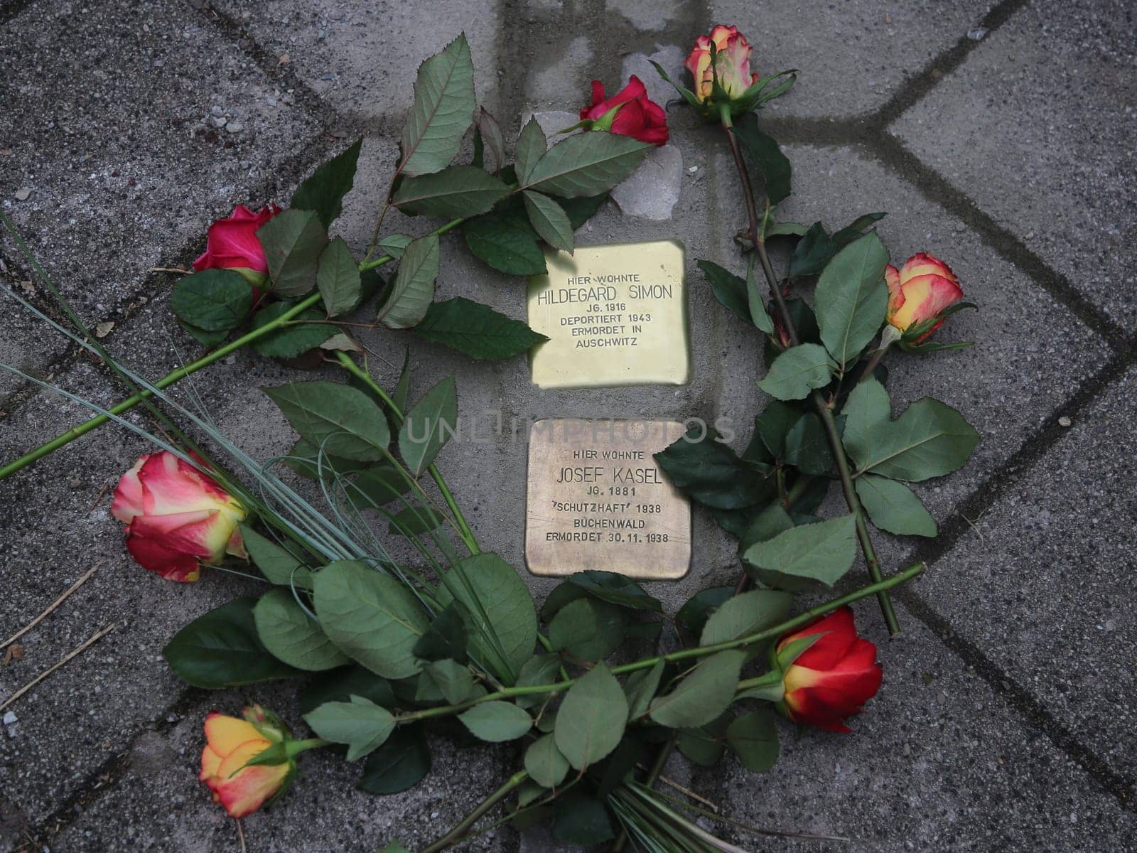 Gunter Demnig verlegte Stolpersteine mit Blumen am 11.11.2021 Magdeburg