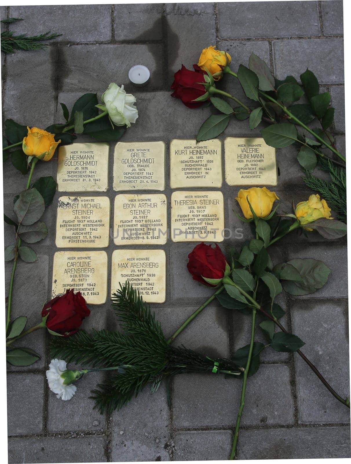 Gunter Demnig verlegte Stolpersteine mit Blumen am 11.11.2021 Magdeburg