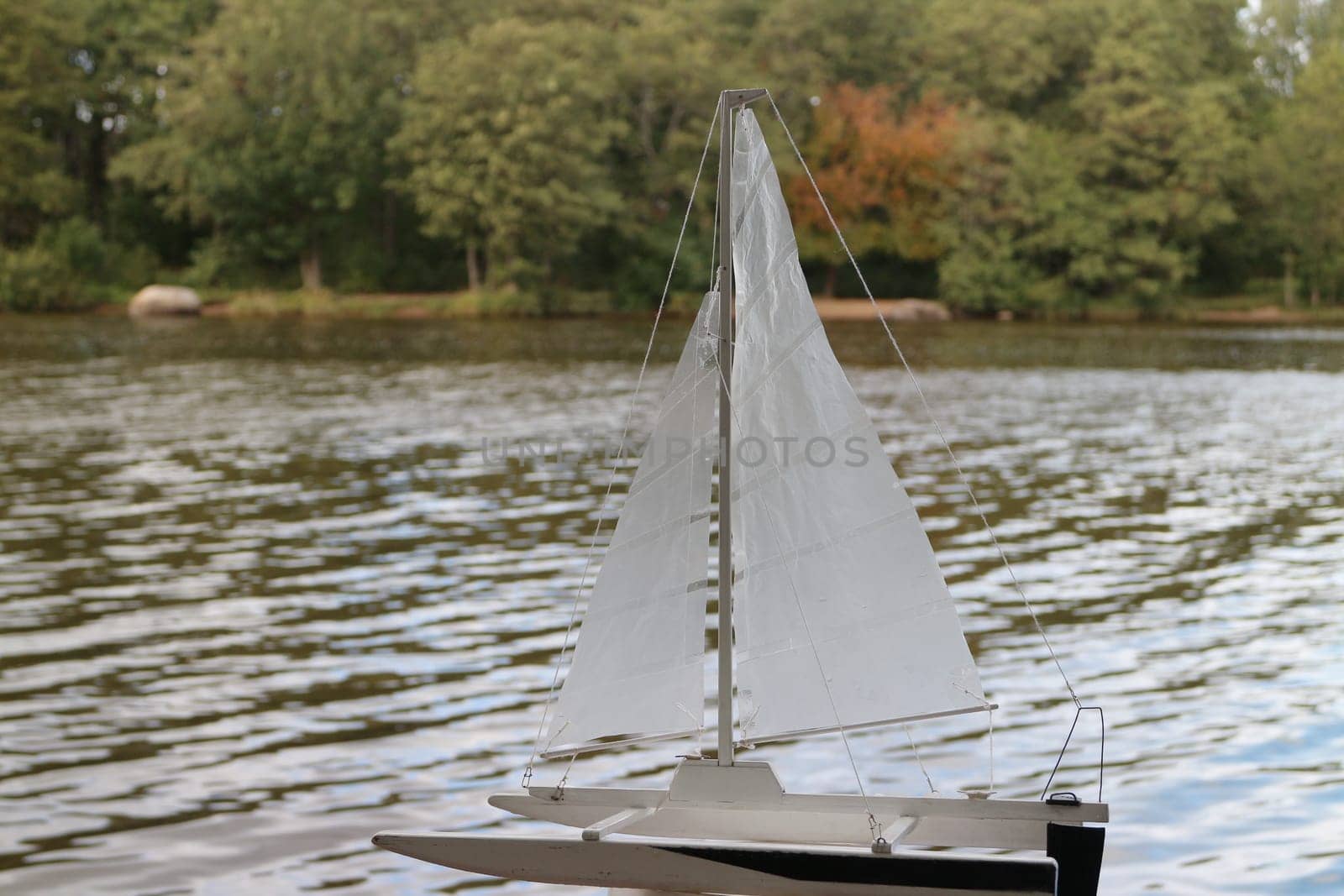 sailing catamaran, sailboat model on the background of the river close-up
