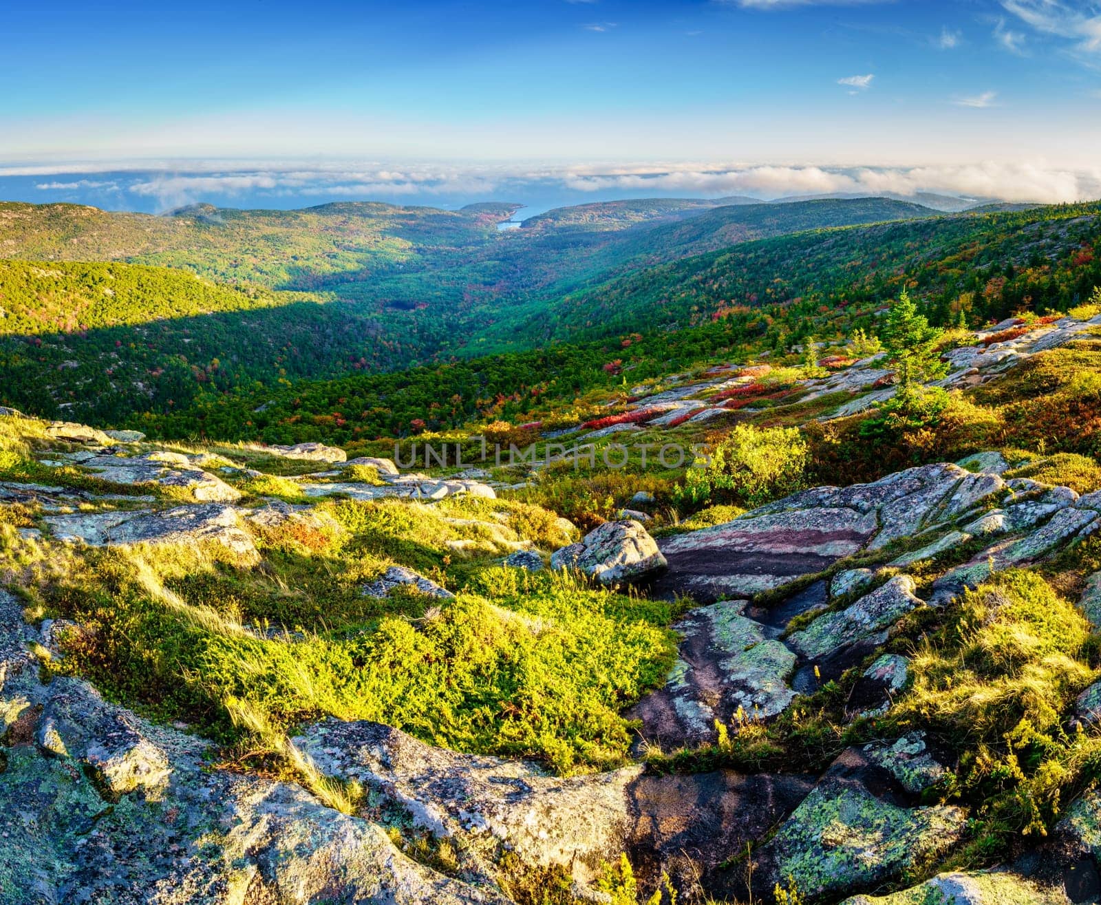 Scenic view of Acadia National Park and Atlantic coast from Cadillac Mountain at sunset