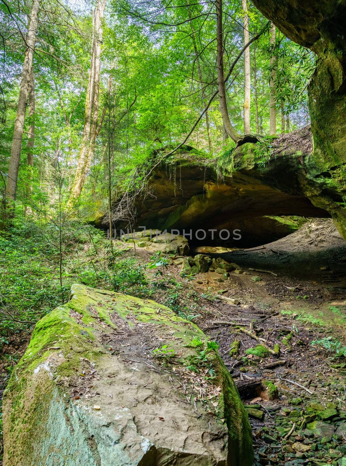 Scenic view of Yahoo Arch rock formation in Southern Kentucky