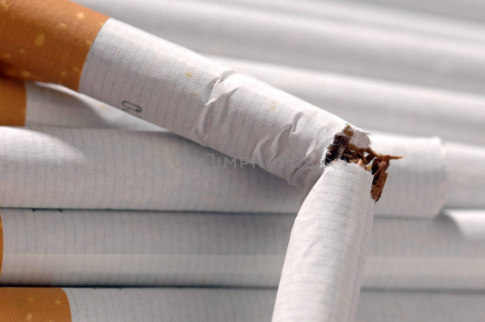 cigarettes on the table, poison