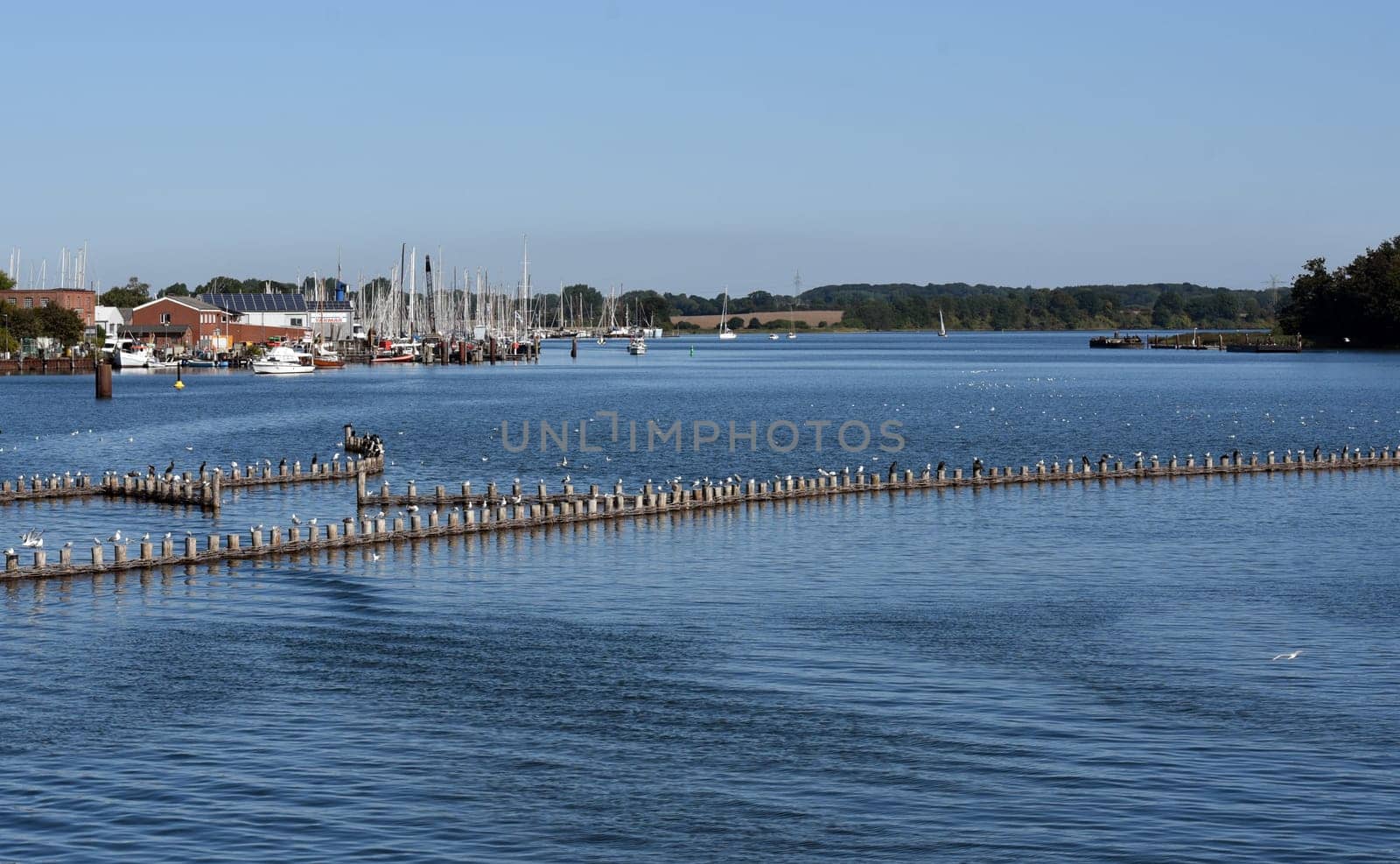 Herring fence in the town of Kappeln is a unique document of fishing in the Schlei. It is the last functioning herring fence in Europe. Herring fence in the town of Kappeln is a unique document of fishing in the Schlei. It is the last fully functional herring fence in Europe.