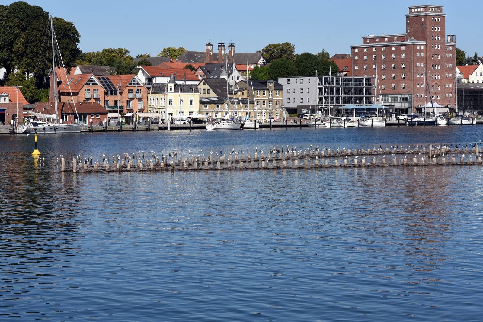 Herring fence in the town of Kappeln is a unique document of fishing in the Schlei. It is the last functioning herring fence in Europe. Herring fence in the town of Kappeln is a unique document of fishing in the Schlei. It is the last fully functional herring fence in Europe.