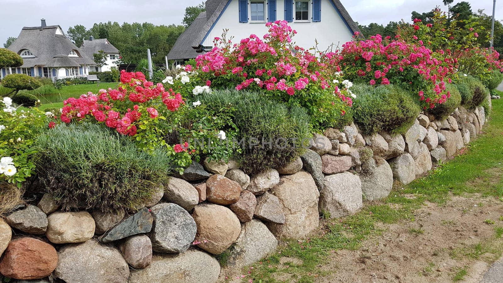 Friesenwall consists of stacked boulders from the Ice Age. Friesenwall,Friezes wall,consists of stacked boulders from the Ice Age.