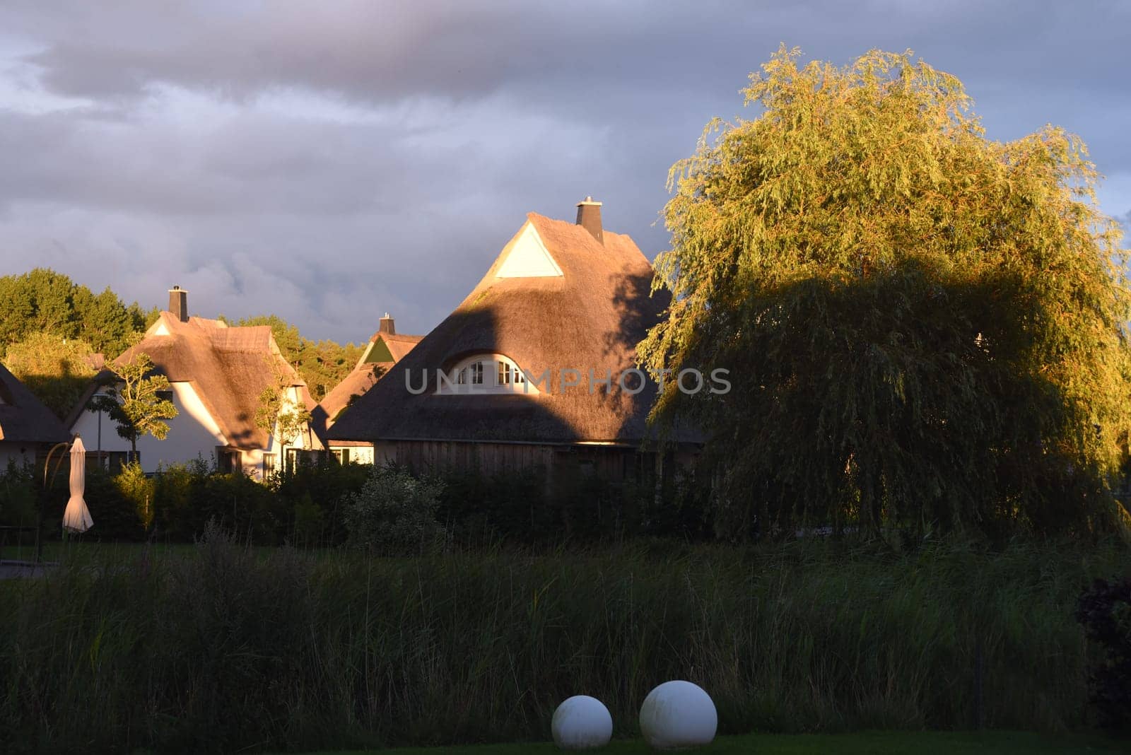 Friesenhaueser with thatched roof made of reeds. Friesenhaueser with thatched roof made of reeds.