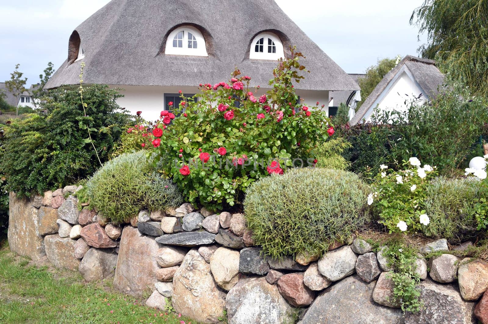 Friesenhaueser with thatched roof made of reeds. Friesenhaueser with thatched roof made of reeds.