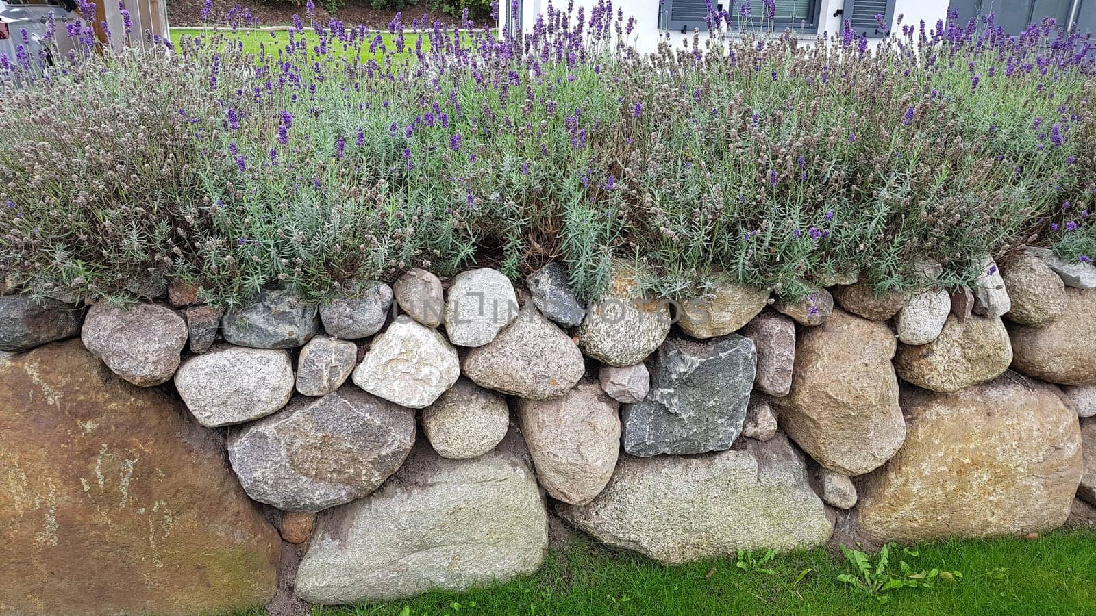 Friesenwall consists of stacked boulders from the Ice Age. Friesenwall,Friezes wall,consists of stacked boulders from the Ice Age.