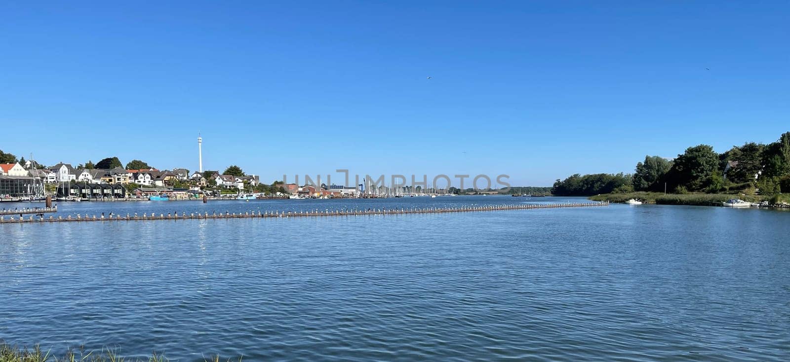 Herring fence in the town of Kappeln is a unique document of fishing in the Schlei. It is the last functioning herring fence in Europe. Herring fence in the town of Kappeln is a unique document of fishing in the Schlei. It is the last fully functional herring fence in Europe.