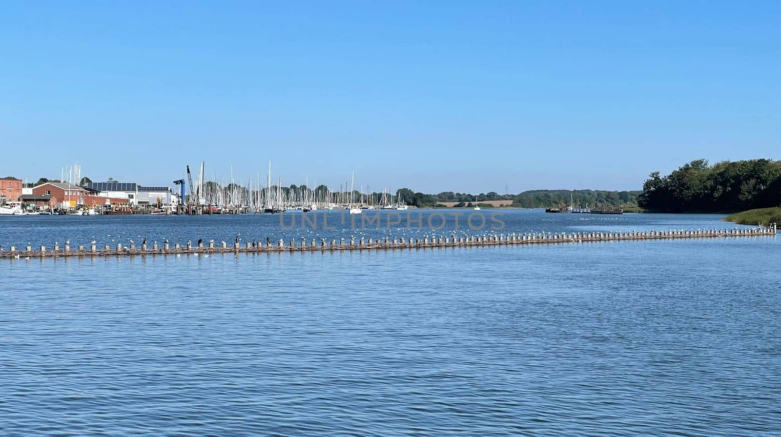 Herring fence in the town of Kappeln is a unique document of fishing in the Schlei. It is the last functioning herring fence in Europe. Herring fence in the town of Kappeln is a unique document of fishing in the Schlei. It is the last fully functional herring fence in Europe.