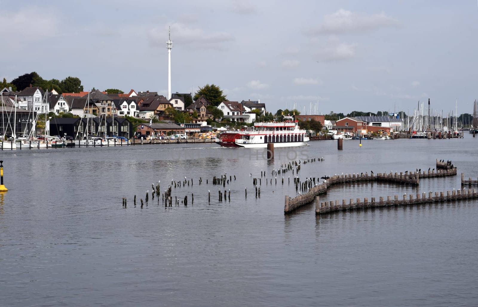 Herring fence in the town of Kappeln is a unique document of fishing in the Schlei. It is the last functioning herring fence in Europe. Herring fence in the town of Kappeln is a unique document of fishing in the Schlei. It is the last fully functional herring fence in Europe.