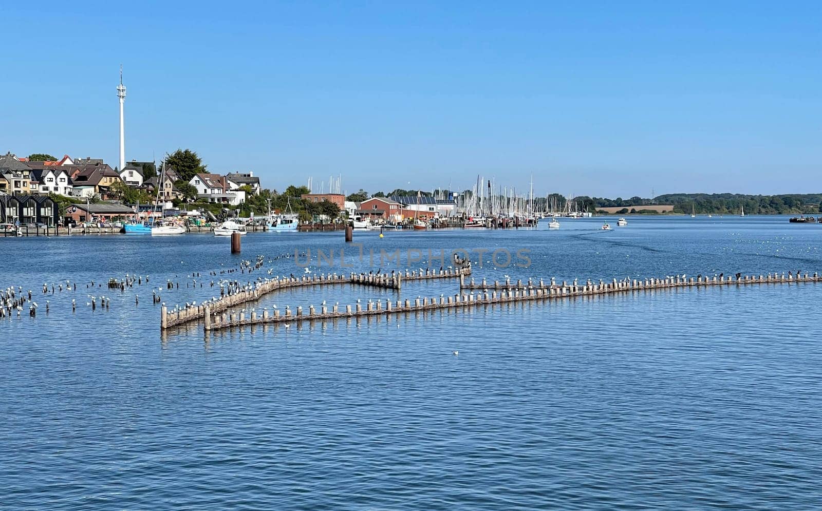 Herring fence in the town of Kappeln is a unique document of fishing in the Schlei. It is the last functioning herring fence in Europe. Herring fence in the town of Kappeln is a unique document of fishing in the Schlei. It is the last fully functional herring fence in Europe.