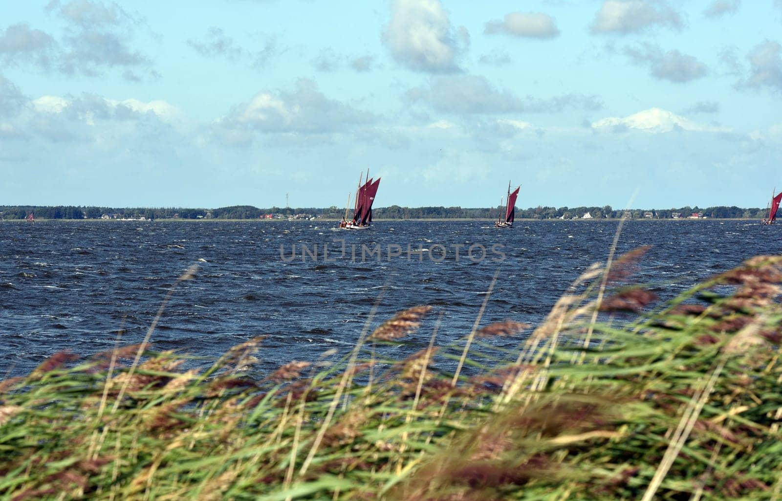 Zeesboot regattas take place annually in the Boddenlandschaft in Mecklenburg-Vorpommern. Zeesboot regattas take place annually in the lagoon landscape in Mecklenburg-Western Pomerania.