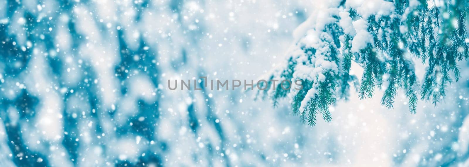 Beautiful view of the fir twigs with fluffy snow on them in snowfall. Panorama of the winter forest in blizzard.