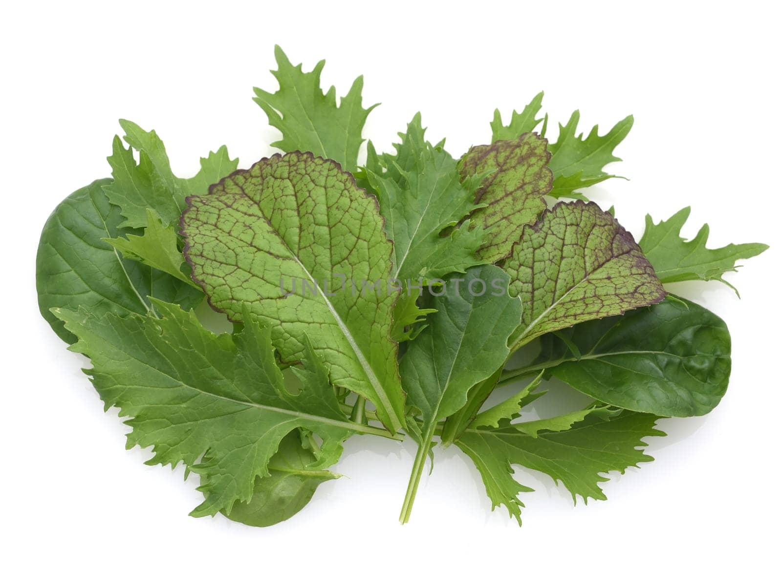 Asian salads are often available all year round. It is used as a salad as well as a vegetable side dish.
