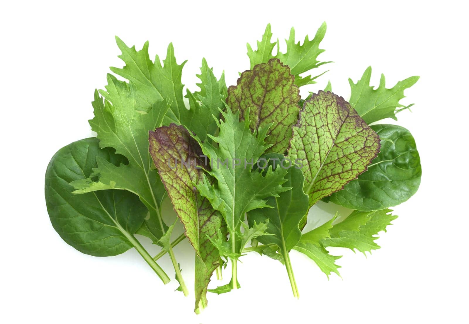Asian salads are often available all year round. It is used as a salad as well as a vegetable side dish.