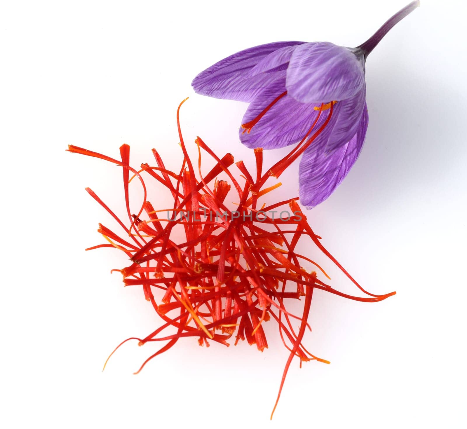 Saffron crocus has three red saffron fawns in the flower which are among the most expensive spices