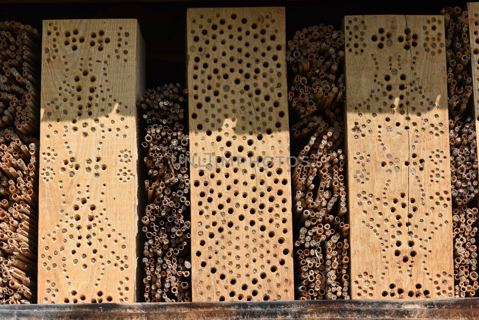 Insect hotels serve insects,especially wild bees,as a shelter and breeding ground.