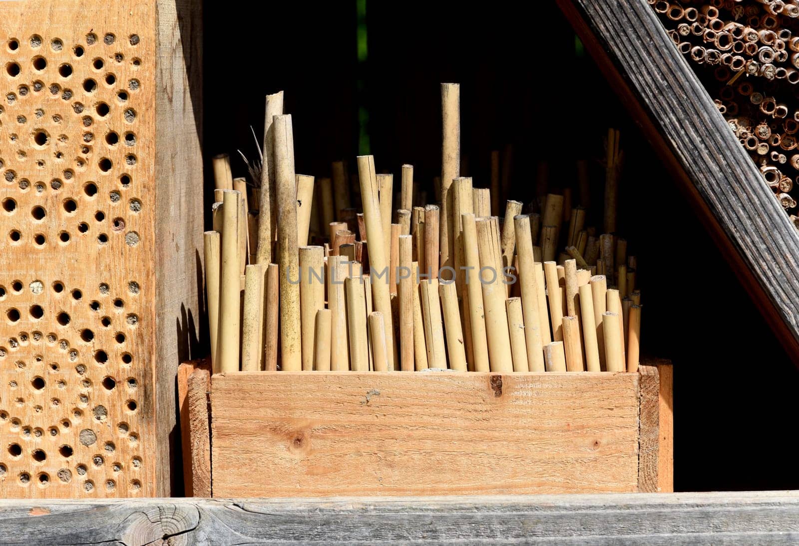 Insect hotels serve insects,especially wild bees,as a shelter and breeding ground.