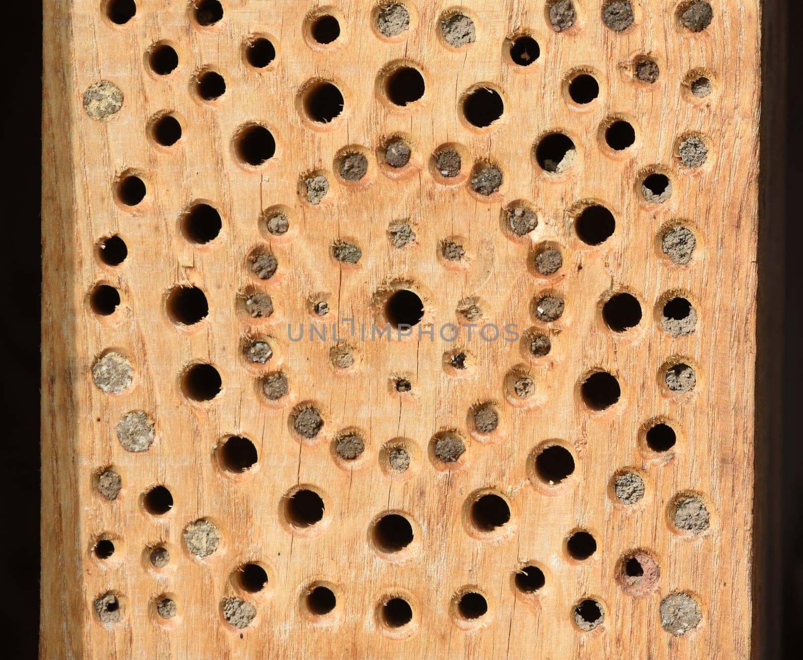 Insect hotels serve insects,especially wild bees,as a shelter and breeding ground. Insect hotels serve insects,especially wild bees,as a shelter and breeding ground.