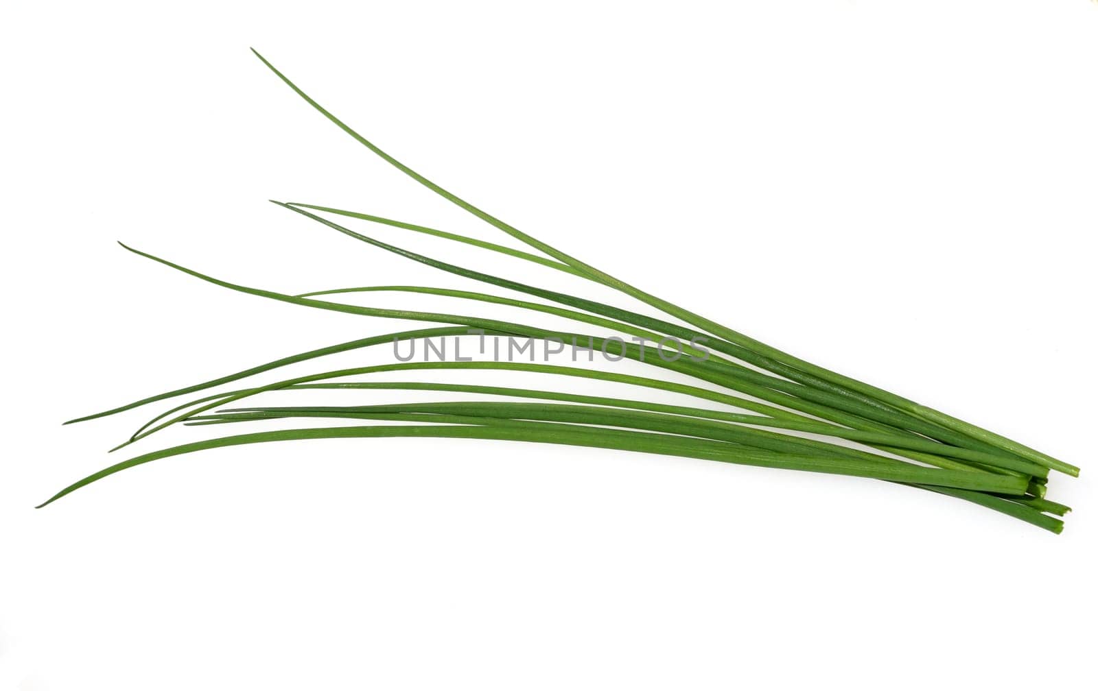 Chives,Allium schoenoprasum,are an important medicinal and medicinal plant. The herb is also used in the Frankfurt green sauce.