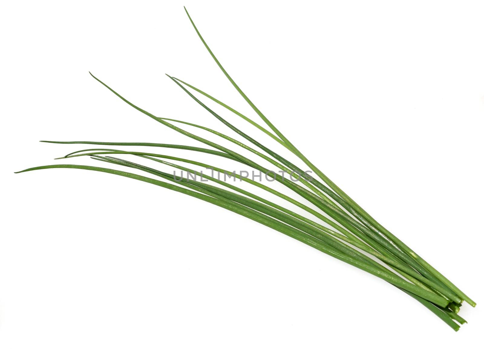 Chives,Allium schoenoprasum,are an important medicinal and medicinal plant. The herb is also used in the Frankfurt green sauce.
