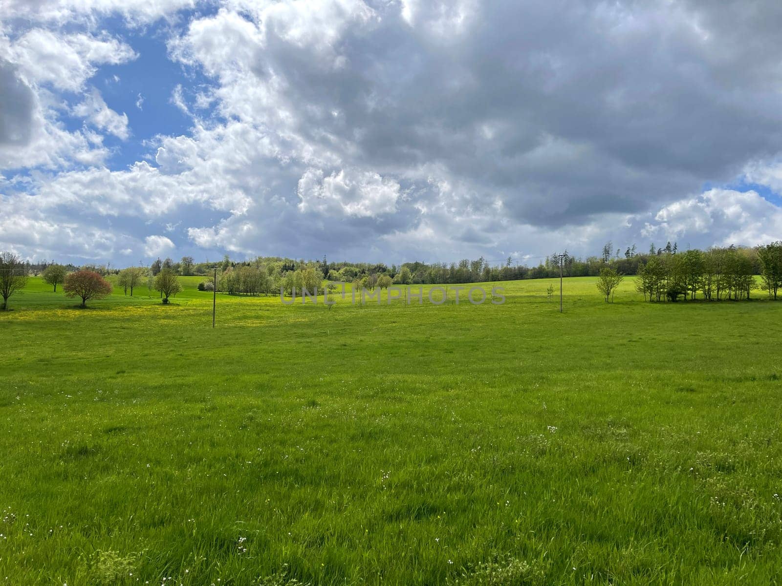 Green meadow in the Taunus during the spring with colorful,flowers and clouds in the sky.