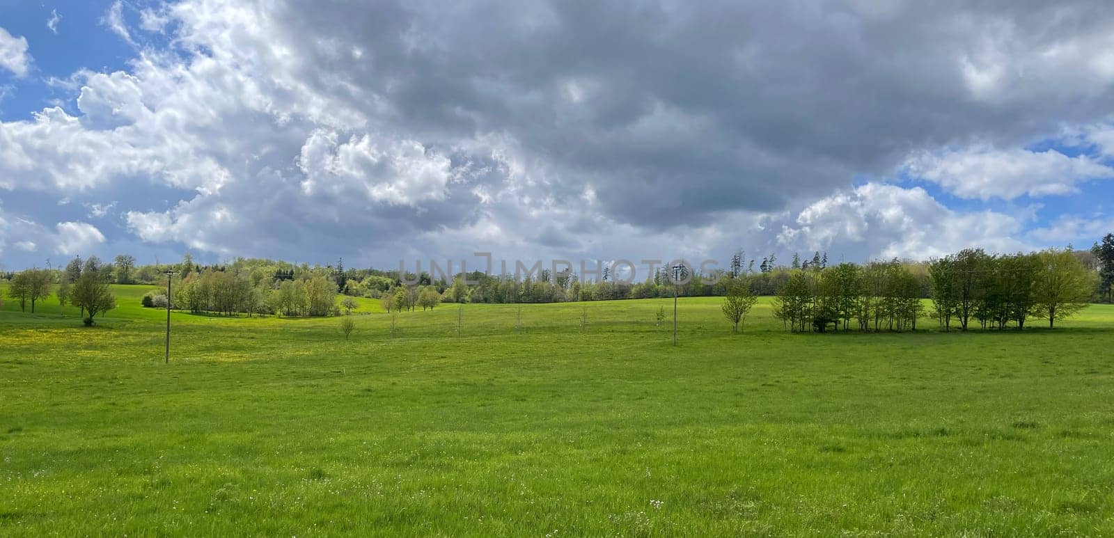 Green meadow in the Taunus during the spring with colorful,flowers and clouds in the sky.