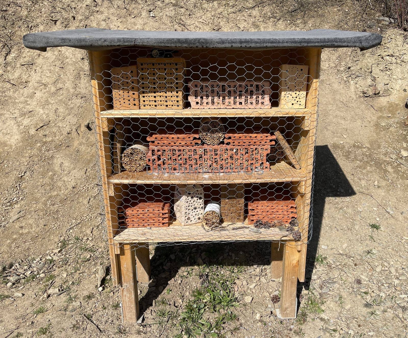 Insect hotels serve insects,especially wild bees,as a shelter and breeding ground.